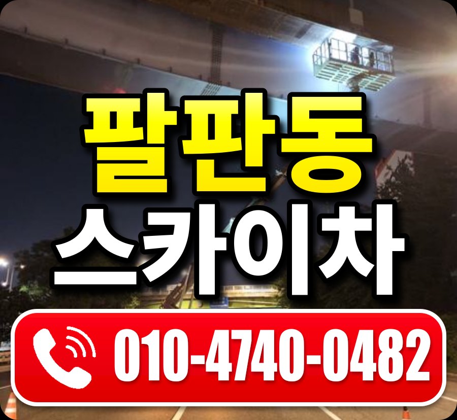 팔판동 스카이차 010-4740-0482