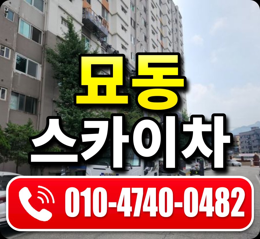묘동 스카이차 010-4740-0482