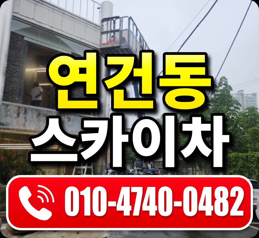 연건동 스카이차 010-4740-0482