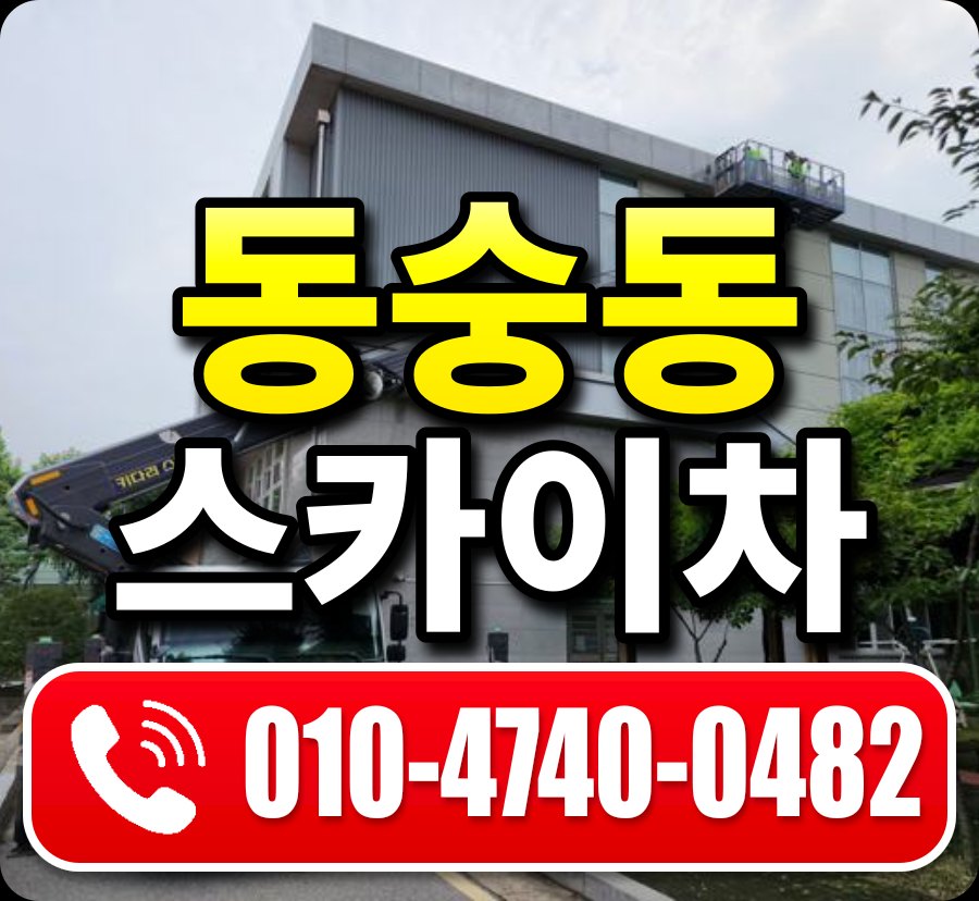동숭동 스카이차 010-4740-0482