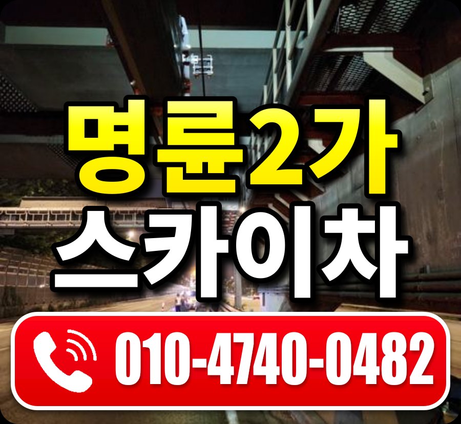 명륜2가 스카이차 010-4740-0482