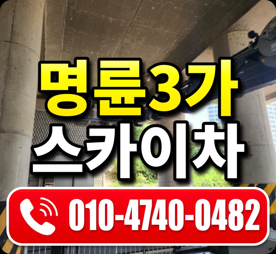 명륜3가 스카이차 010-4740-0482