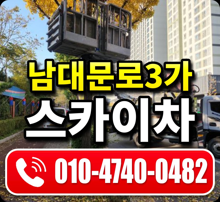 남대문로3가 스카이차 010-4740-0482