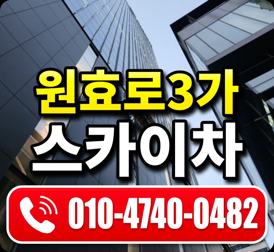 원효로3가 스카이차 010-4740-0482