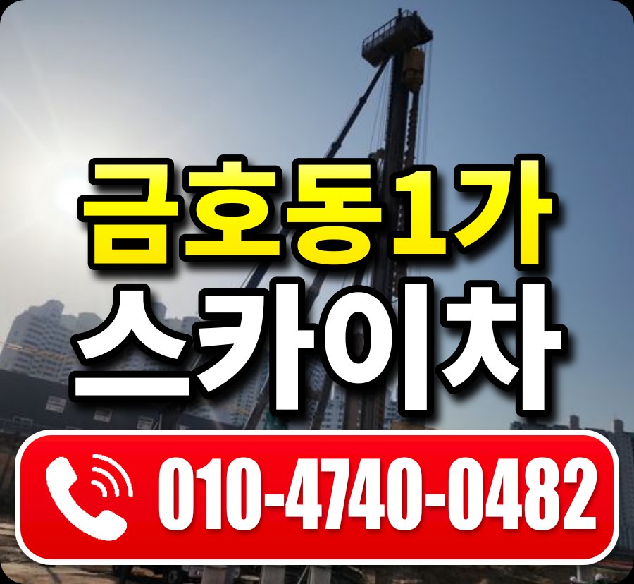 금호동1가 스카이차 010-4740-0482