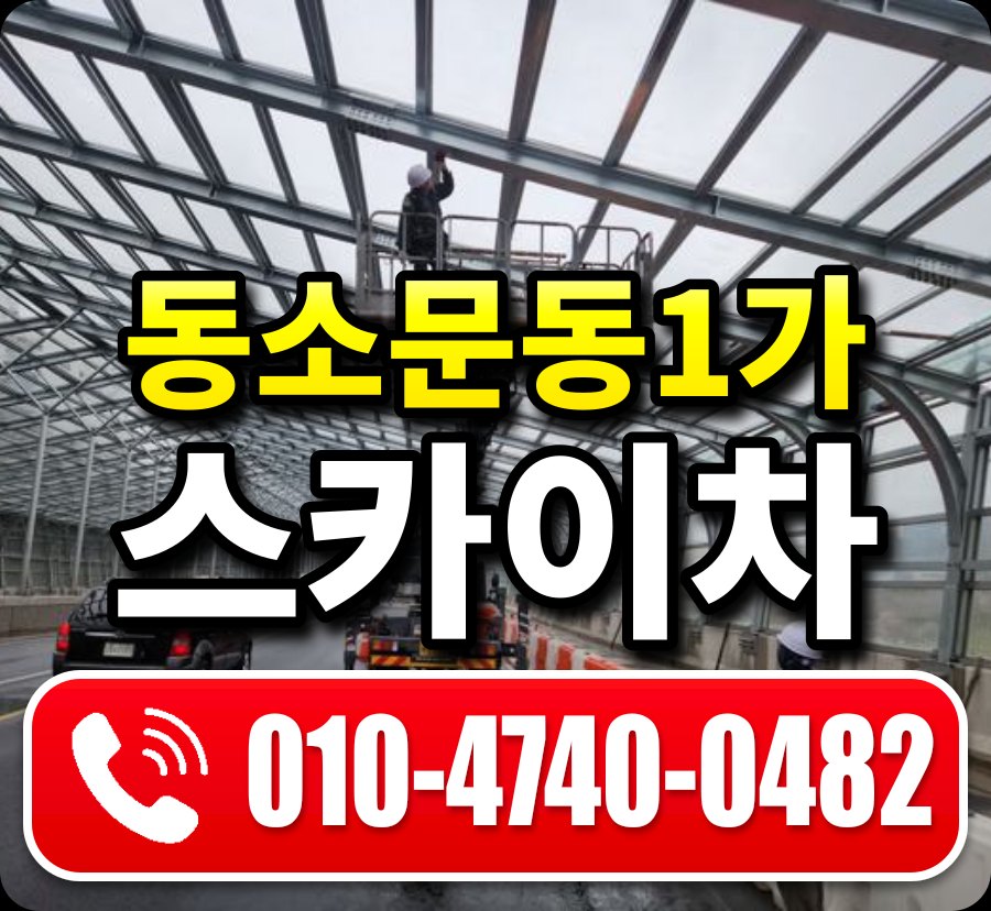 동소문동1가 스카이차 010-4740-0482