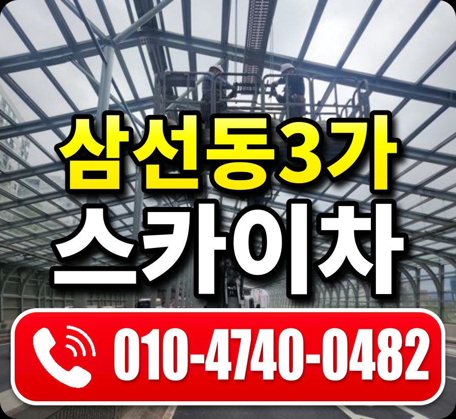 삼선동3가 스카이차 010-4740-0482