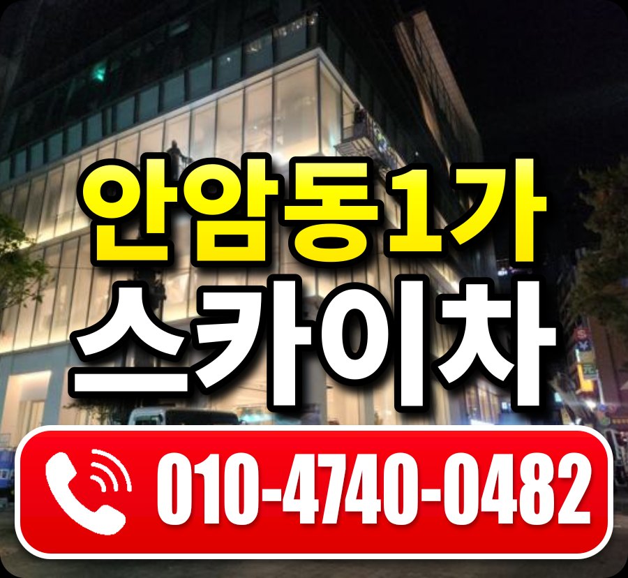 안암동1가 스카이차 010-4740-0482