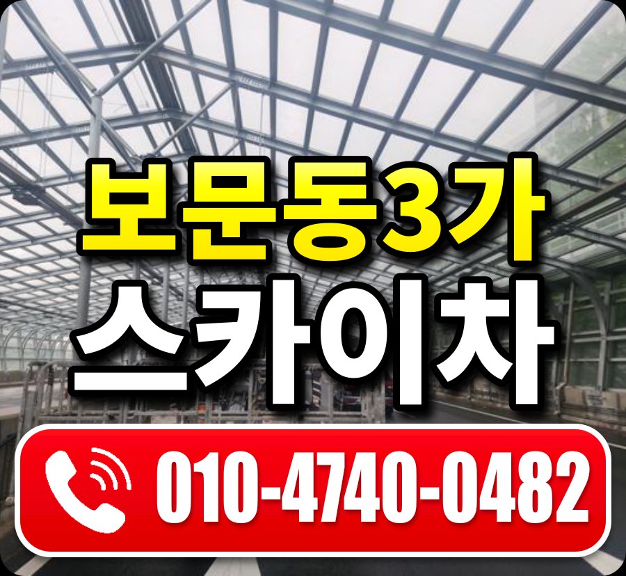 보문동3가 스카이차 010-4740-0482