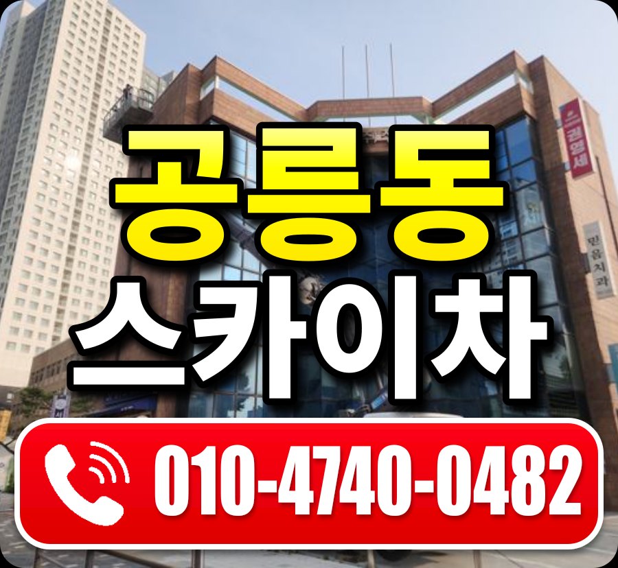 공릉동 스카이차 010-4740-0482