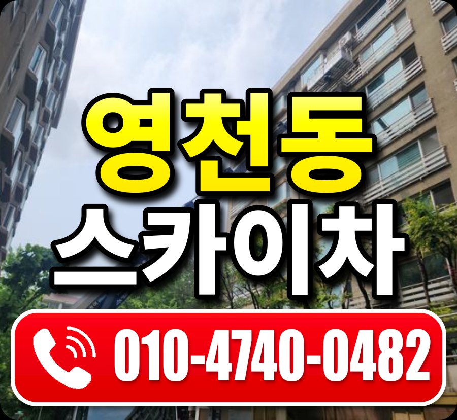 영천동 스카이차 010-4740-0482
