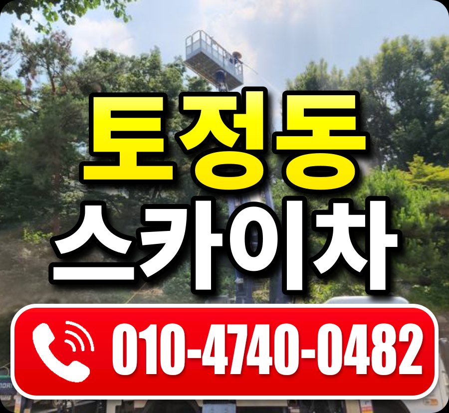 토정동 스카이차 010-4740-0482