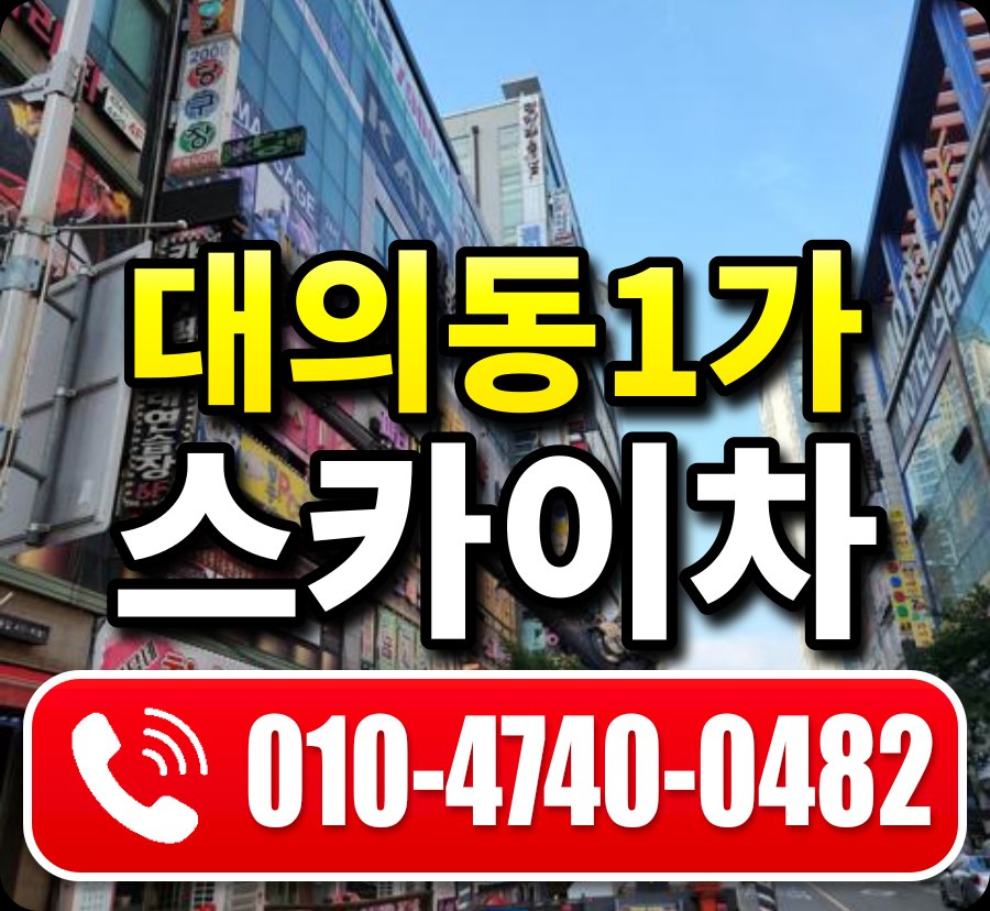 대의동1가 스카이차 010-4740-0482