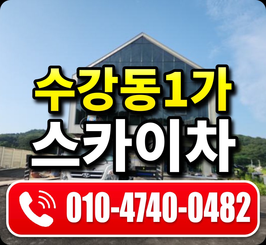 수강동1가 스카이차 010-4740-0482