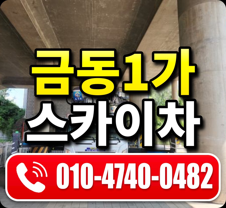금동1가 스카이차 010-4740-0482