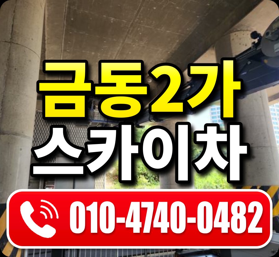 금동2가 스카이차 010-4740-0482