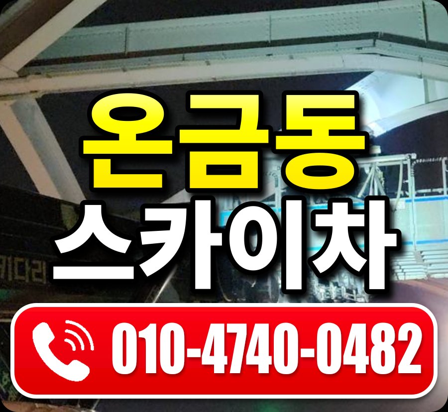 온금동 스카이차 010-4740-0482