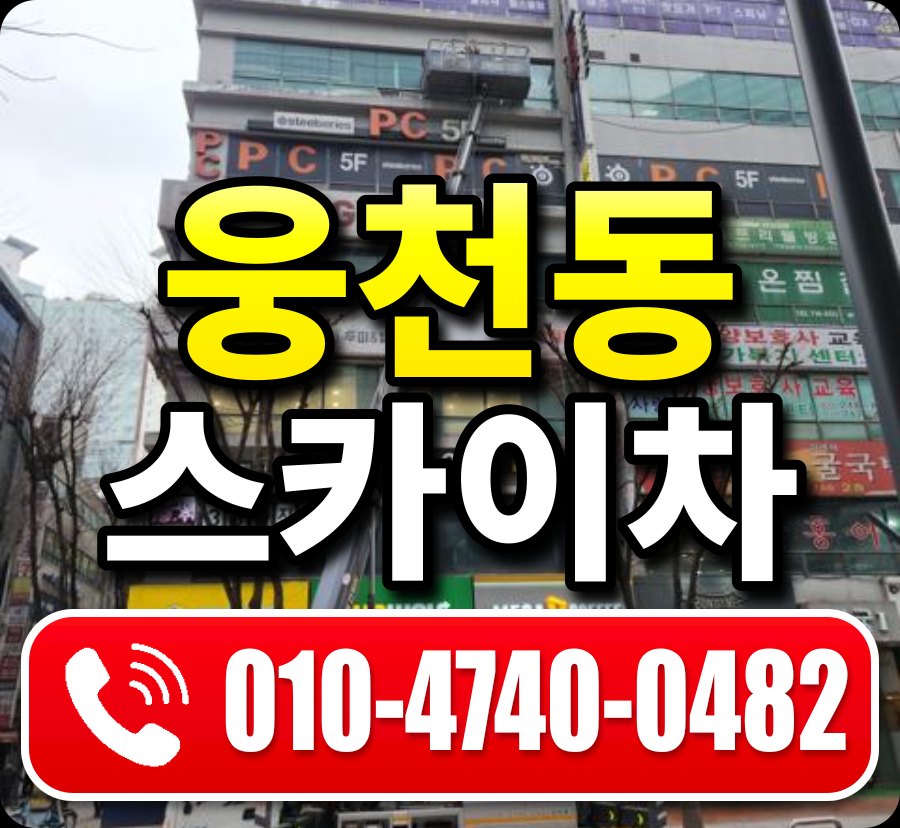 웅천동 스카이차 010-4740-0482