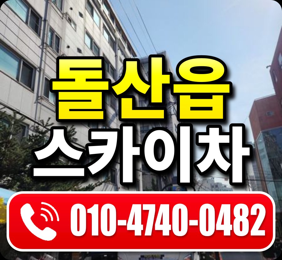 돌산읍 스카이차 010-4740-0482