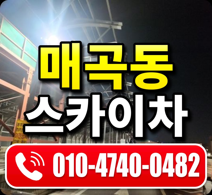 매곡동 스카이차 010-4740-0482