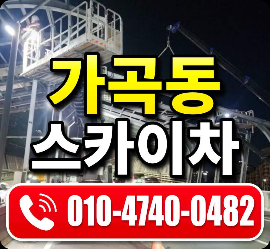 가곡동 스카이차 010-4740-0482
