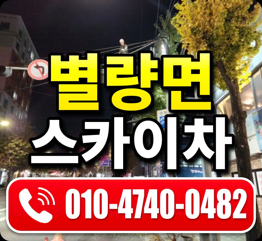 별량면 스카이차 010-4740-0482