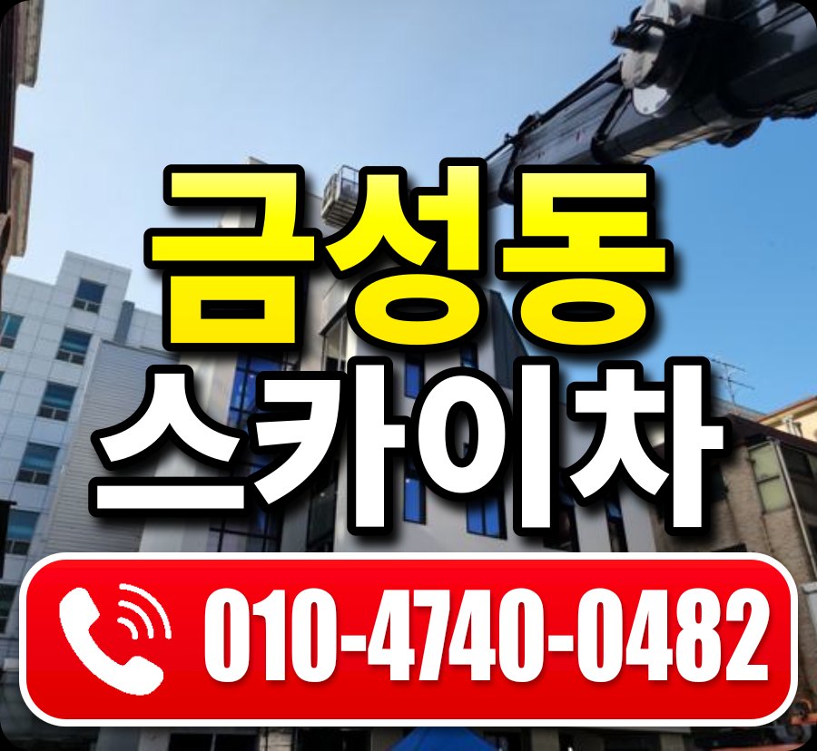 금성동 스카이차 010-4740-0482