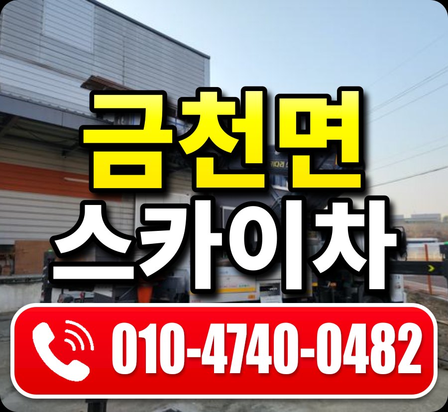 금천면 스카이차 010-4740-0482