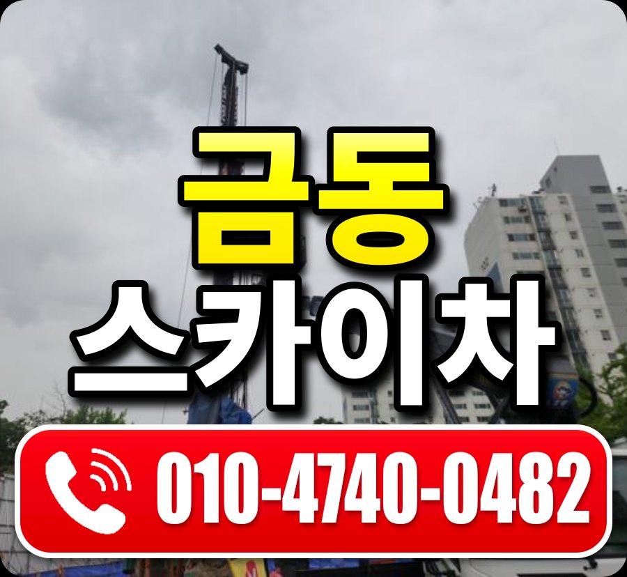 금동 스카이차 010-4740-0482