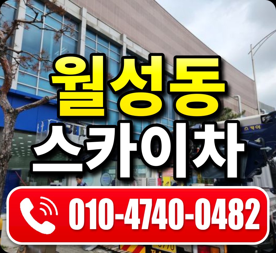 월성동 스카이차 010-4740-0482