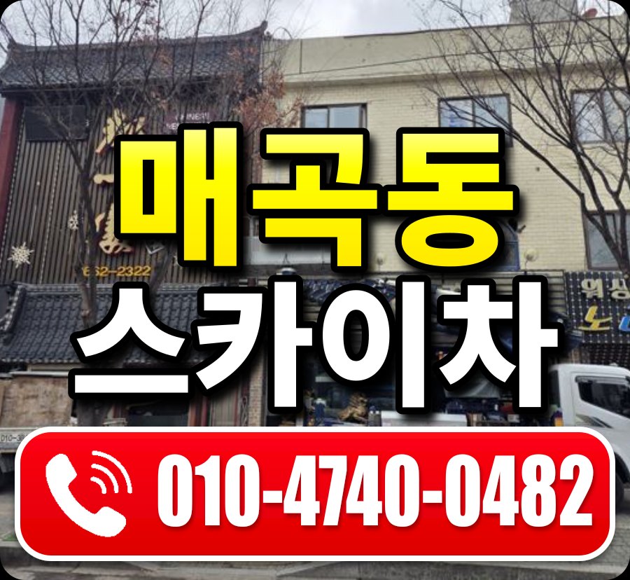 매곡동 스카이차 010-4740-0482