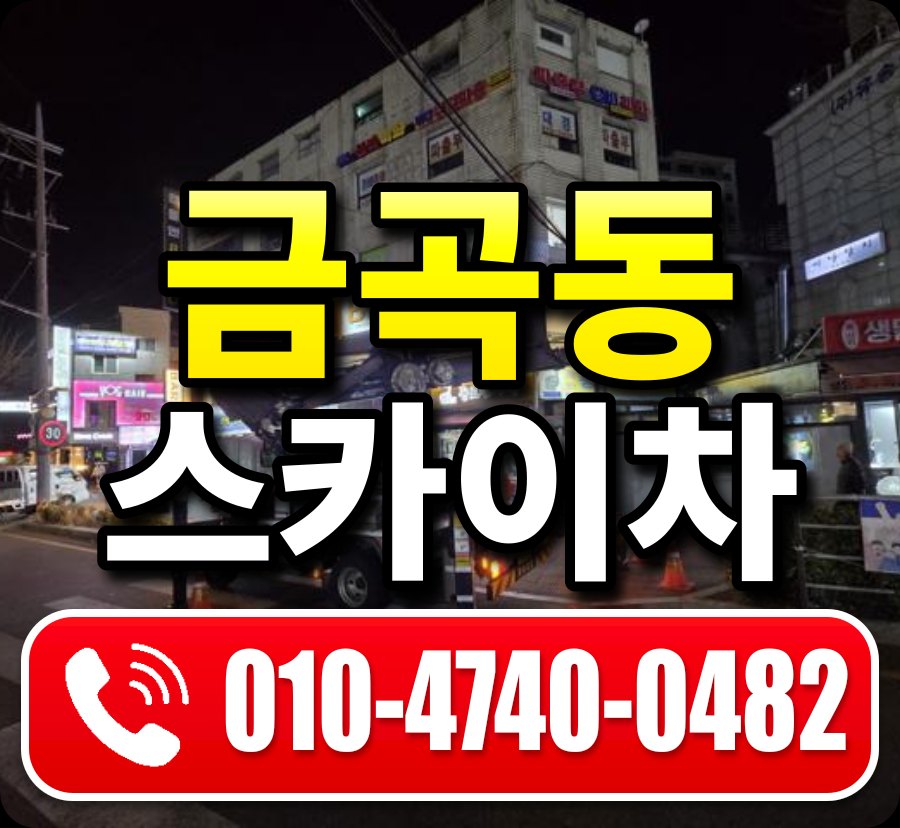 금곡동 스카이차 010-4740-0482