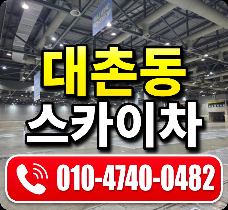 대촌동 스카이차 010-4740-0482