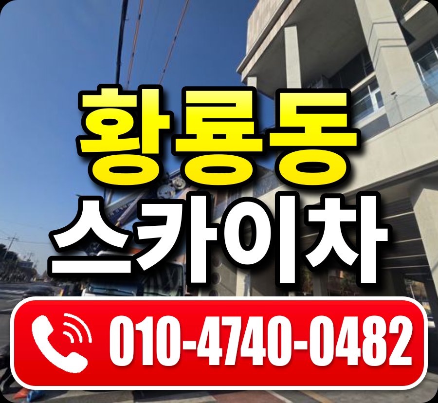 황룡동 스카이차 010-4740-0482