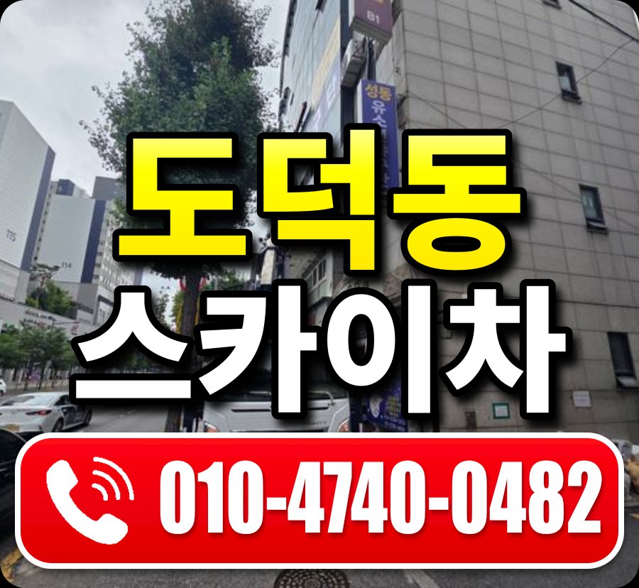 도덕동 스카이차 010-4740-0482