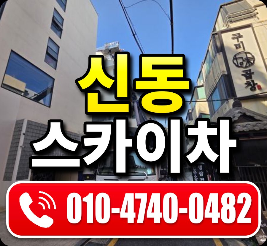 신동 스카이차 010-4740-0482