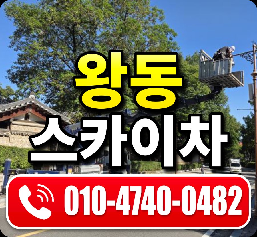 왕동 스카이차 010-4740-0482