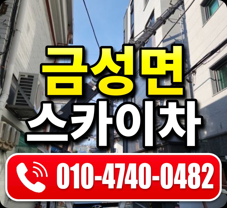 금성면 스카이차 010-4740-0482
