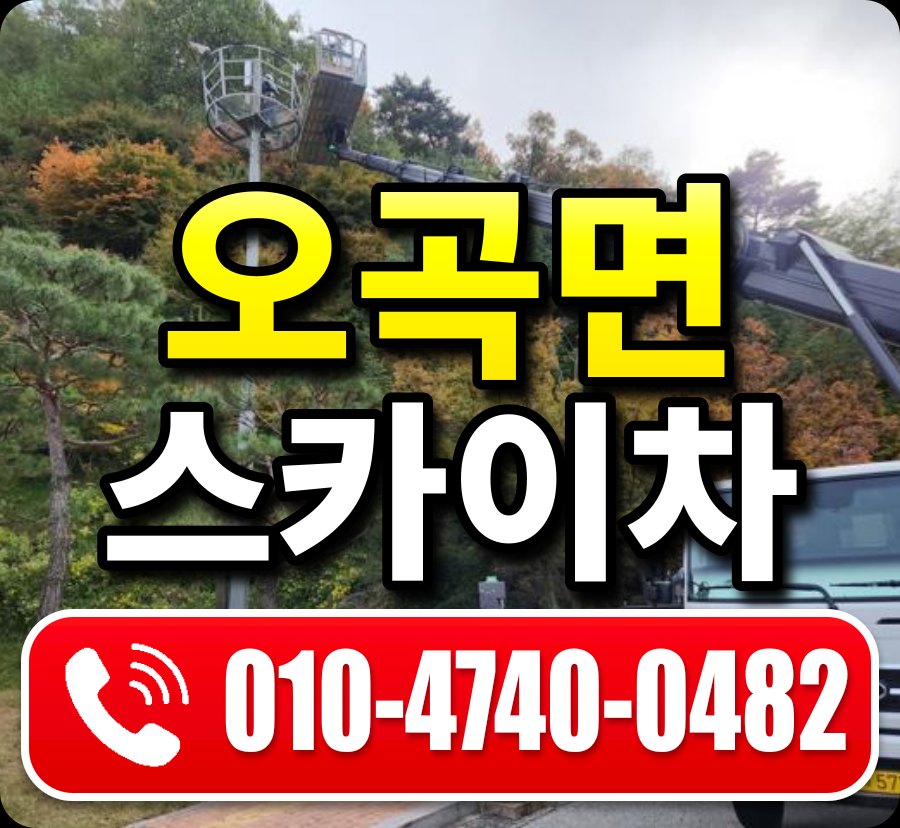 오곡면 스카이차 010-4740-0482