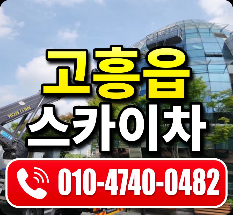 고흥읍 스카이차 010-4740-0482