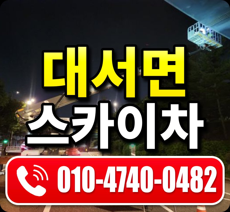 대서면 스카이차 010-4740-0482