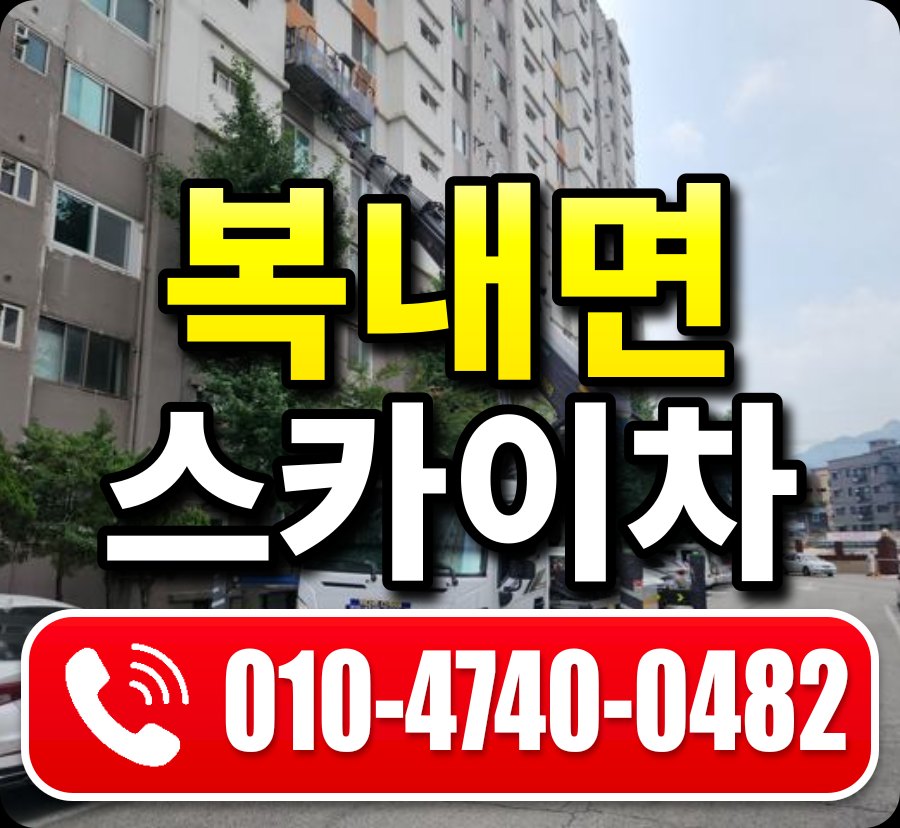 복내면 스카이차 010-4740-0482