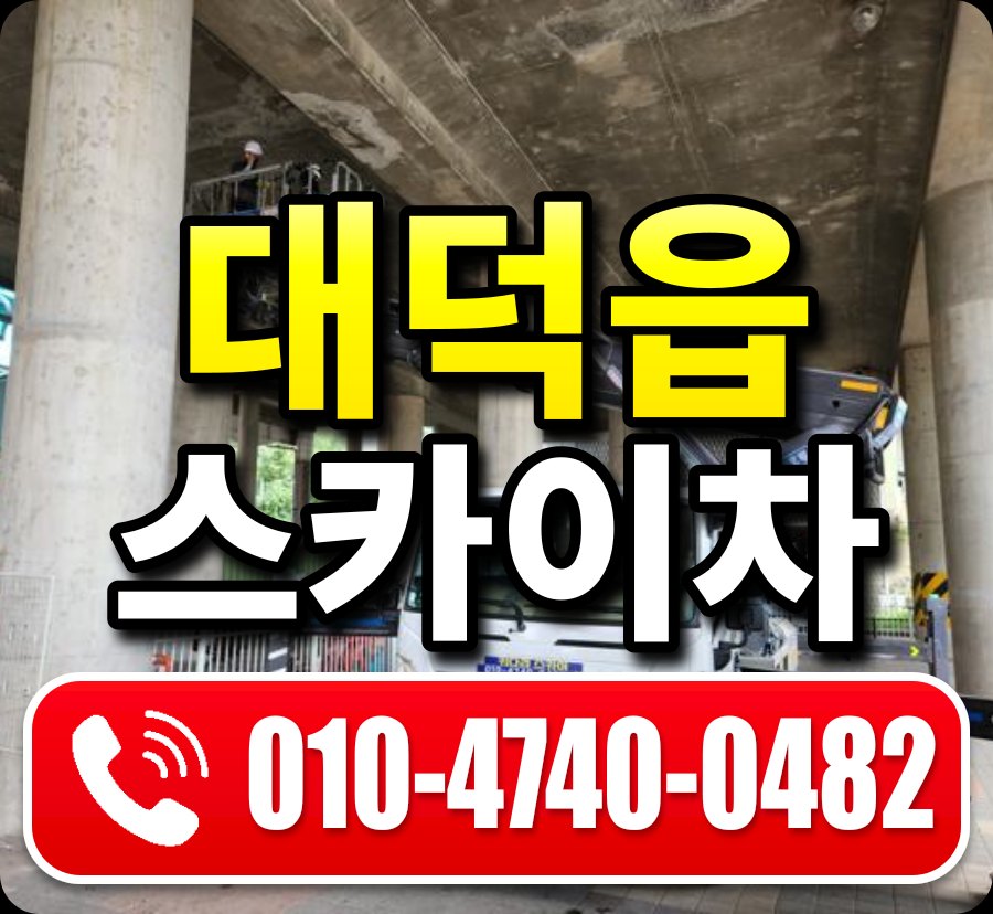대덕읍 스카이차 010-4740-0482