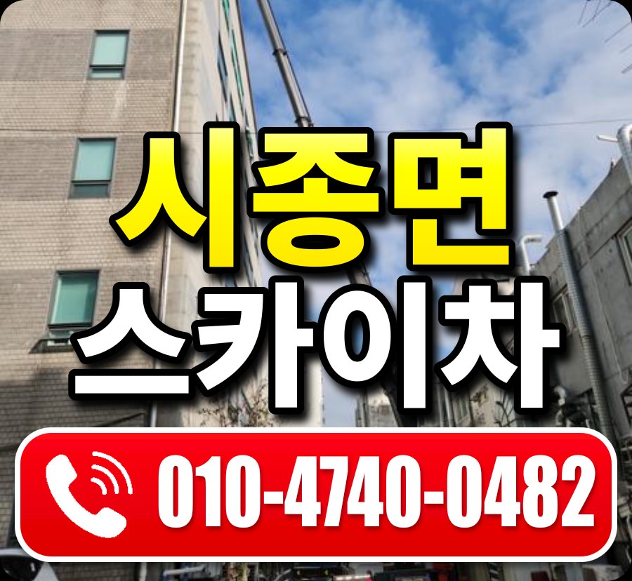 시종면 스카이차 010-4740-0482