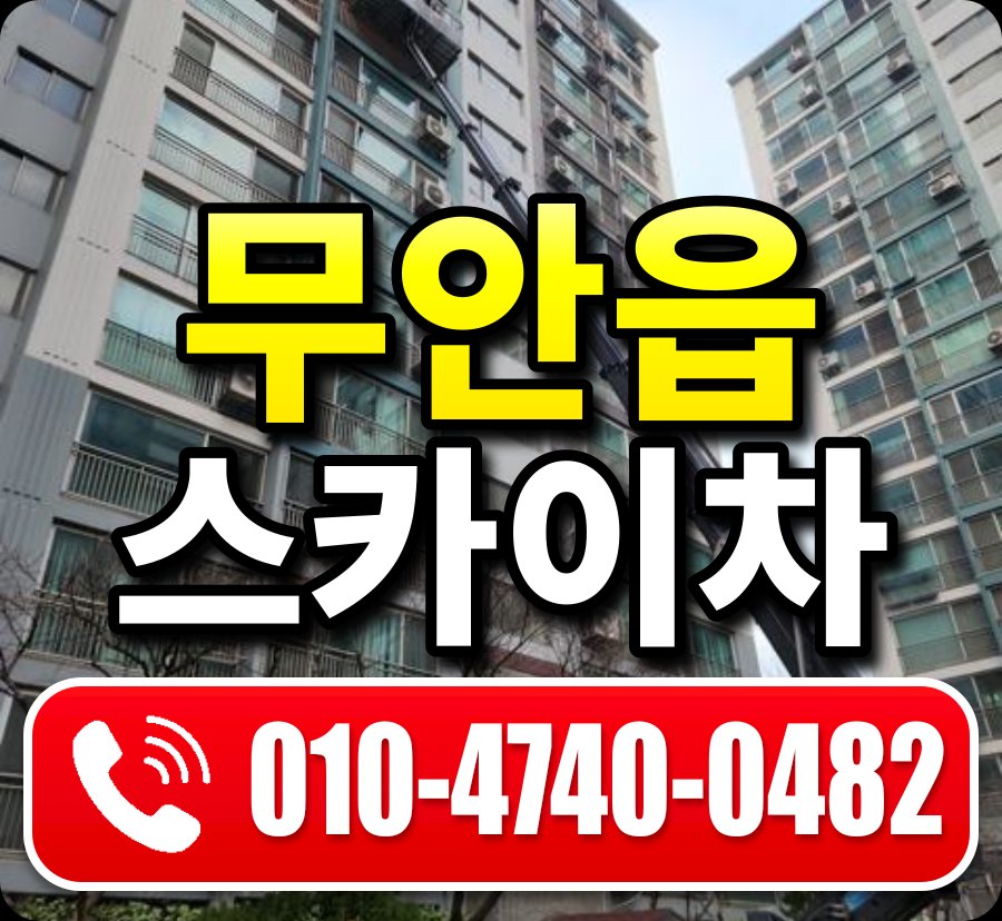 무안읍 스카이차 010-4740-0482