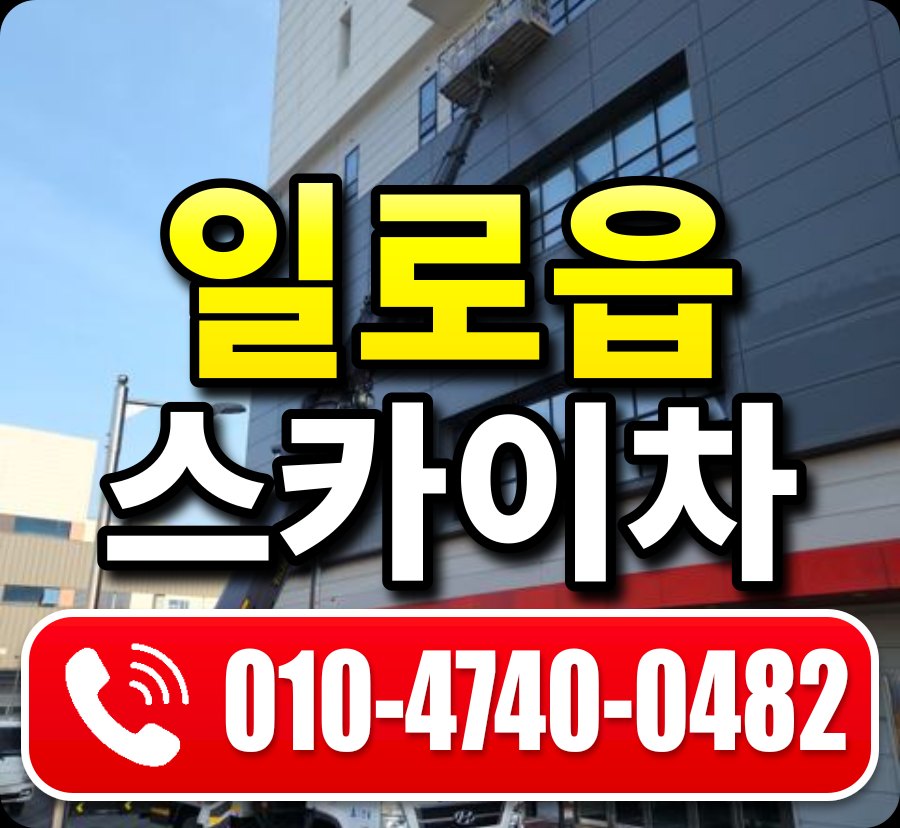 일로읍 스카이차 010-4740-0482