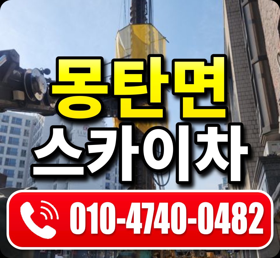 몽탄면 스카이차 010-4740-0482