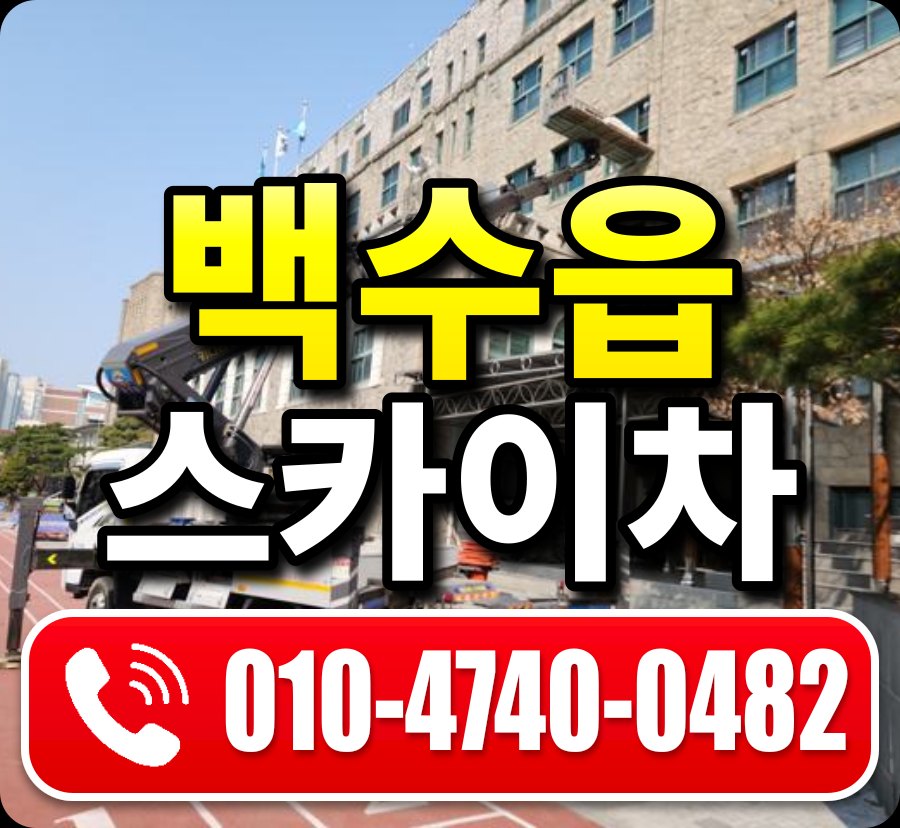 백수읍 스카이차 010-4740-0482
