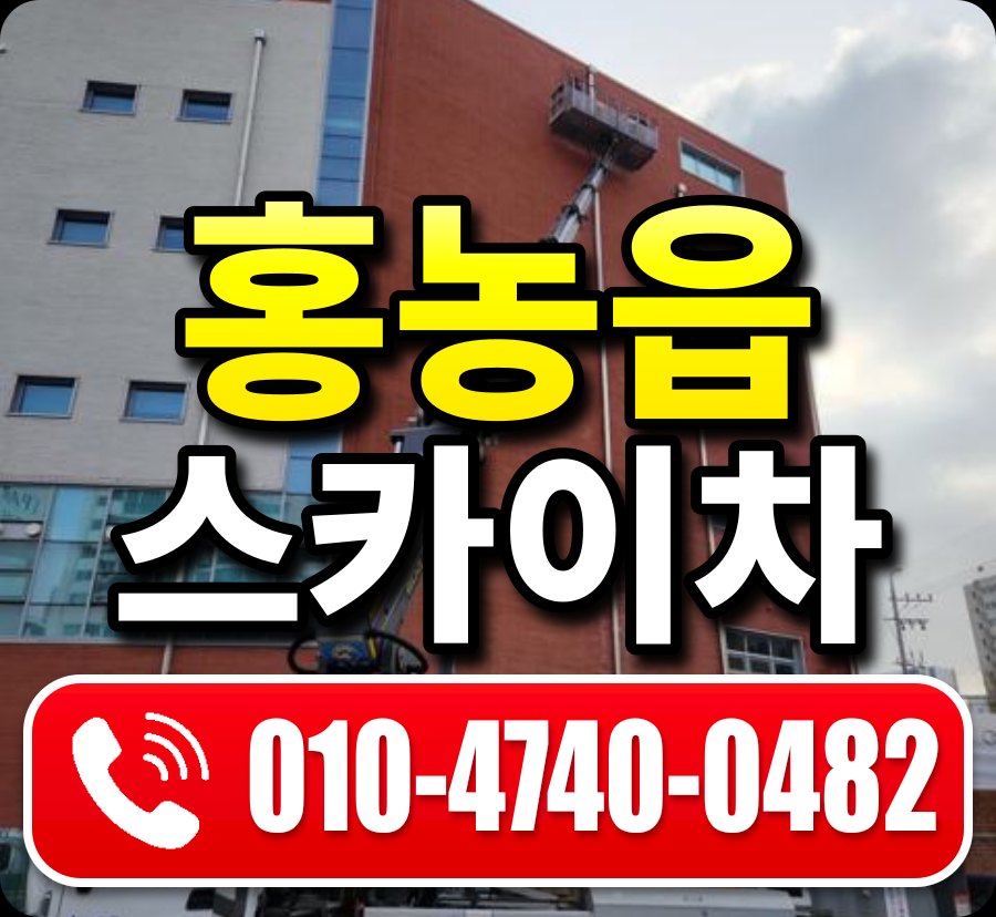 홍농읍 스카이차 010-4740-0482
