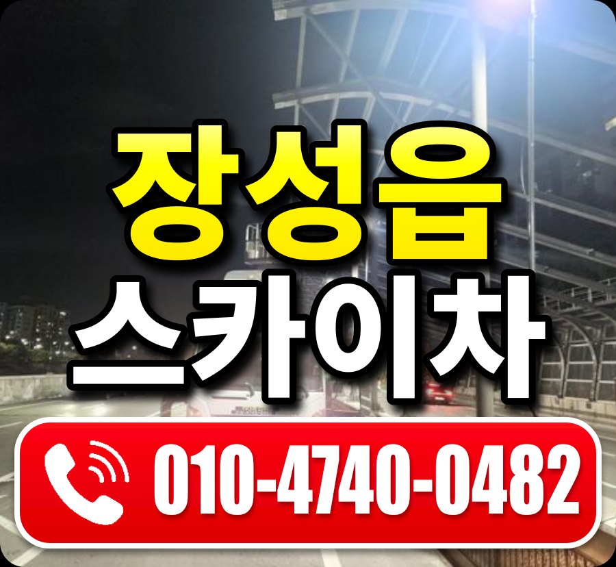 장성읍 스카이차 010-4740-0482